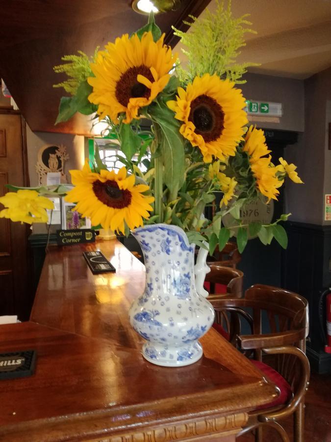 The Three Horseshoes Hotel อัลตัน ภายนอก รูปภาพ